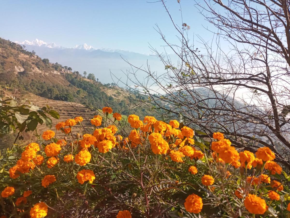 Unique Point Home Stay Nagarkot Dış mekan fotoğraf