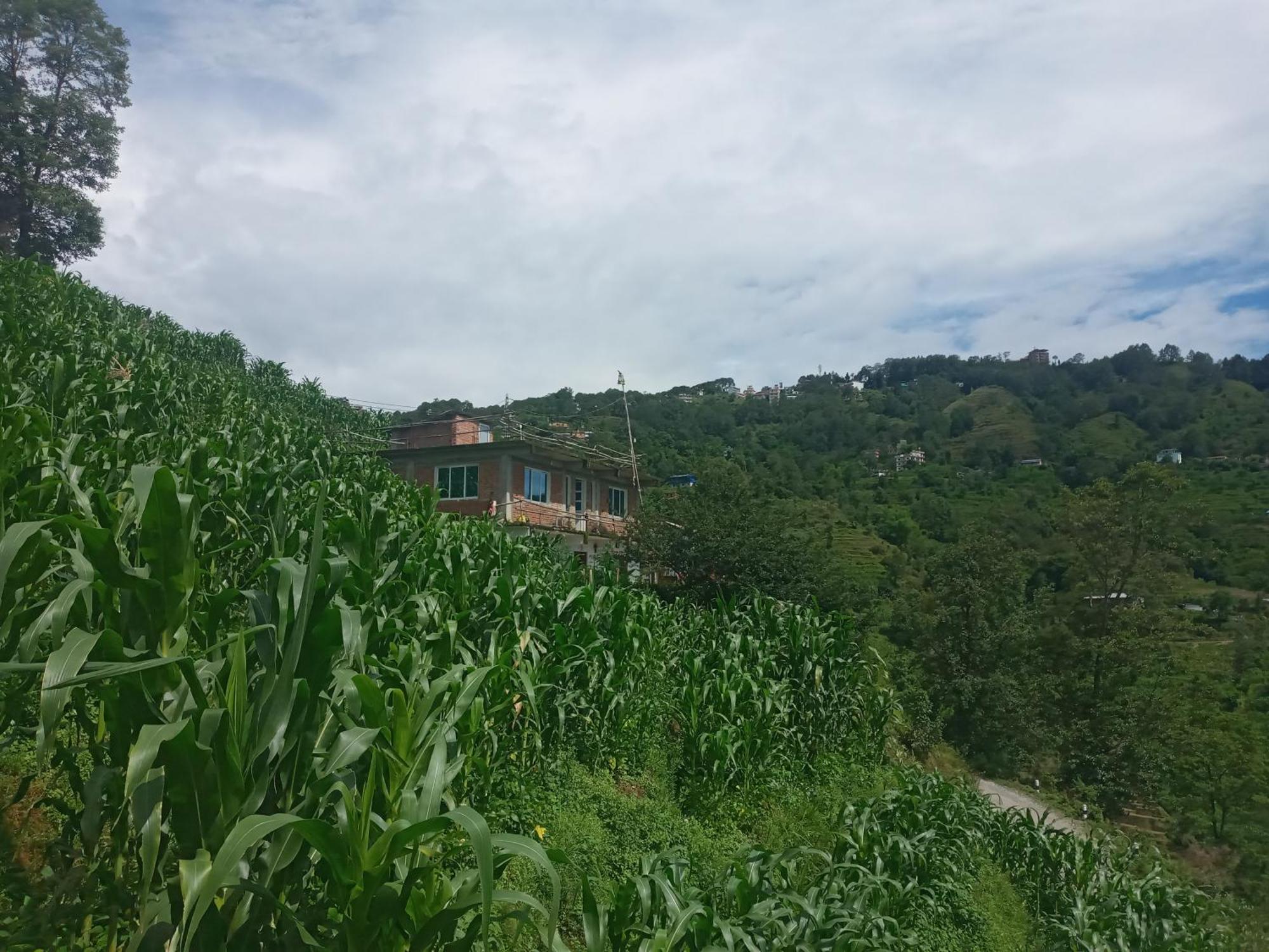 Unique Point Home Stay Nagarkot Dış mekan fotoğraf