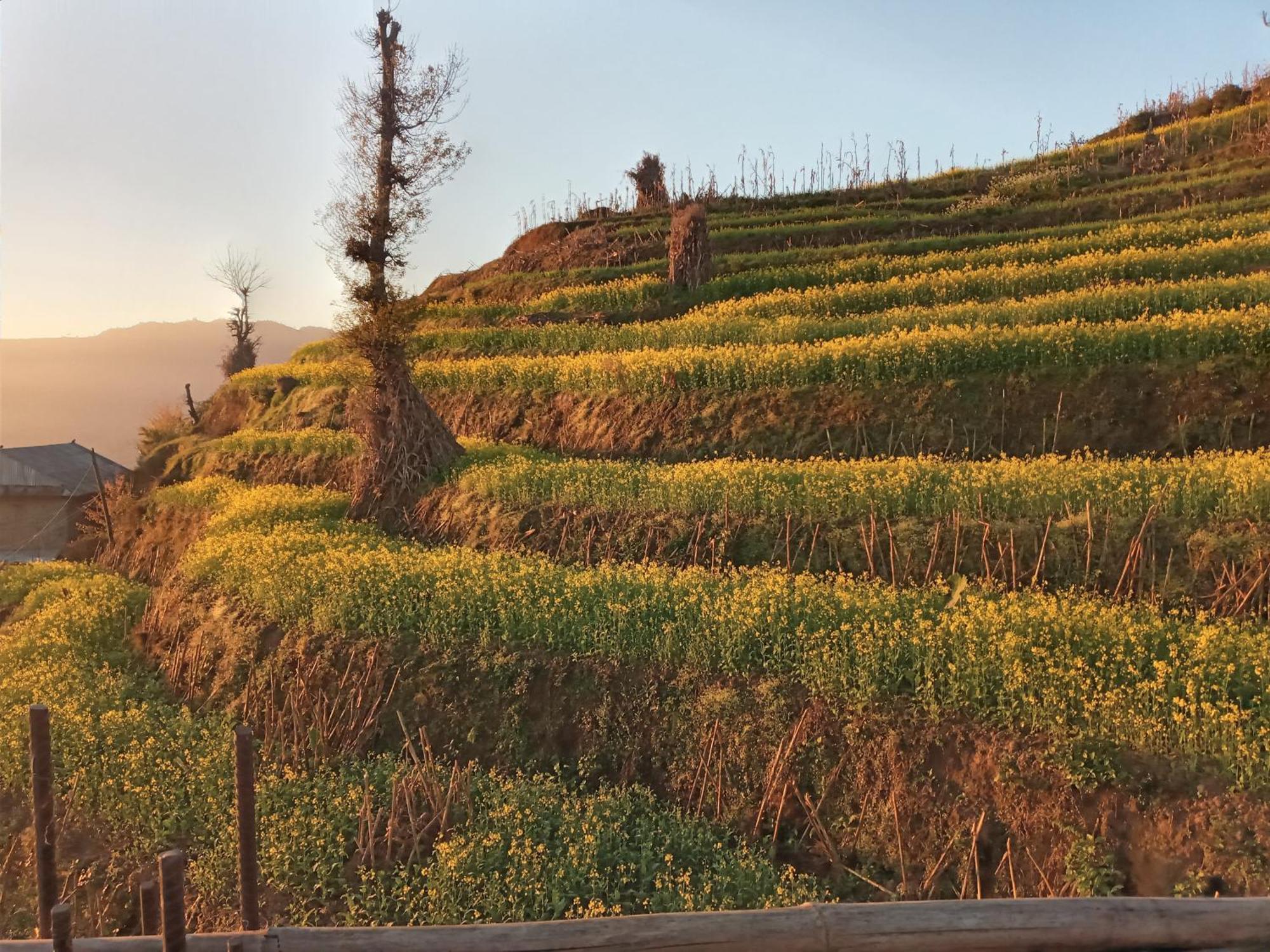 Unique Point Home Stay Nagarkot Dış mekan fotoğraf