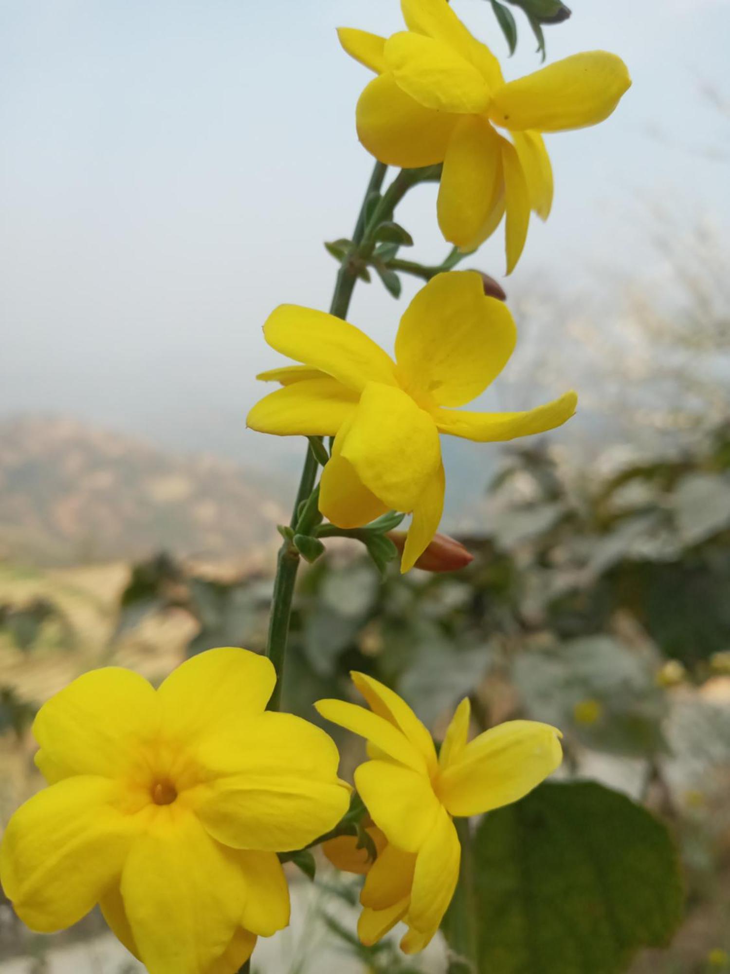 Unique Point Home Stay Nagarkot Dış mekan fotoğraf
