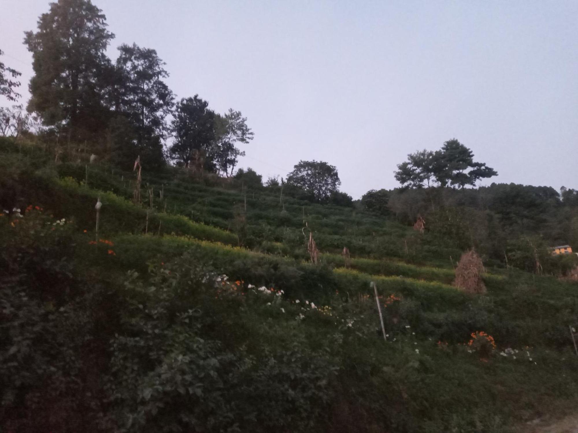 Unique Point Home Stay Nagarkot Dış mekan fotoğraf